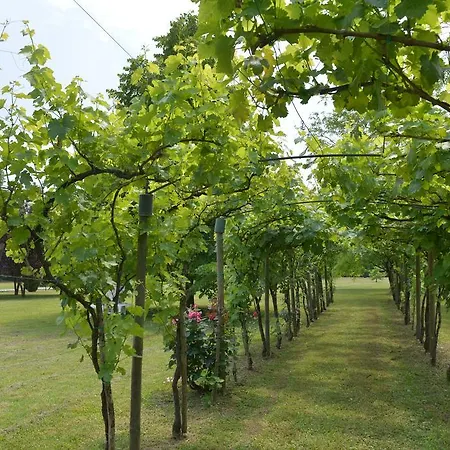 B&B Casale Santa Rita 3*